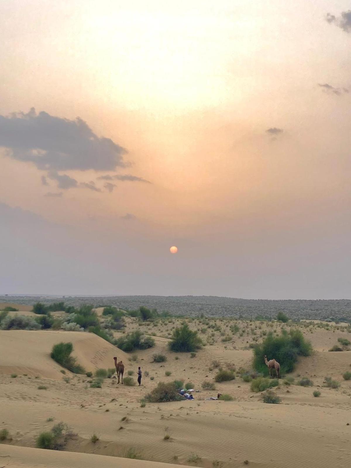 Crazy Camel Hotel & Safari Jaisalmer Exterior photo